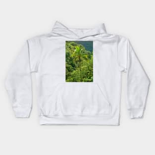 Iao Valley State Monument Study 3 Kids Hoodie